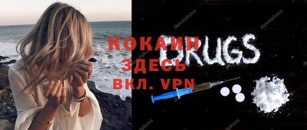 эйфоретик Бородино