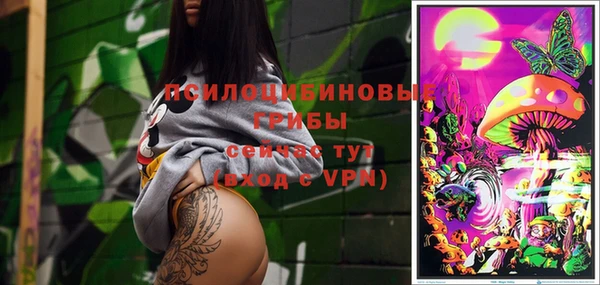винт Бронницы