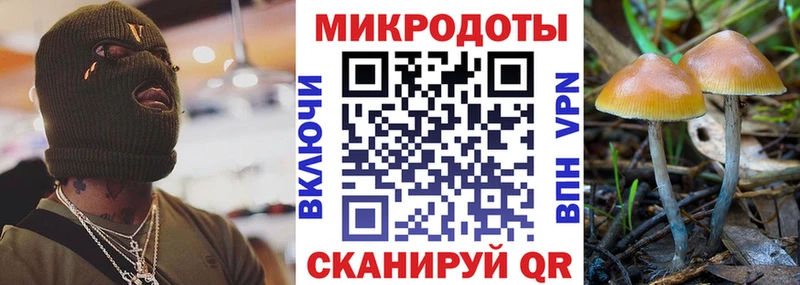 купить   Зима  Псилоцибиновые грибы GOLDEN TEACHER 