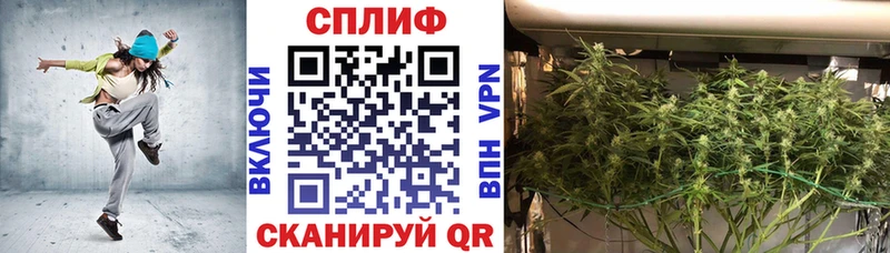 omg ссылка  Зима  Бошки марихуана White Widow 